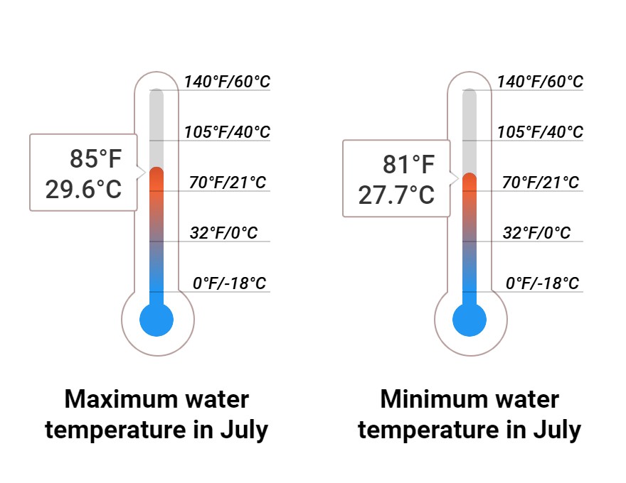 Average Sea temperature